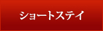 V[gXeCɂ